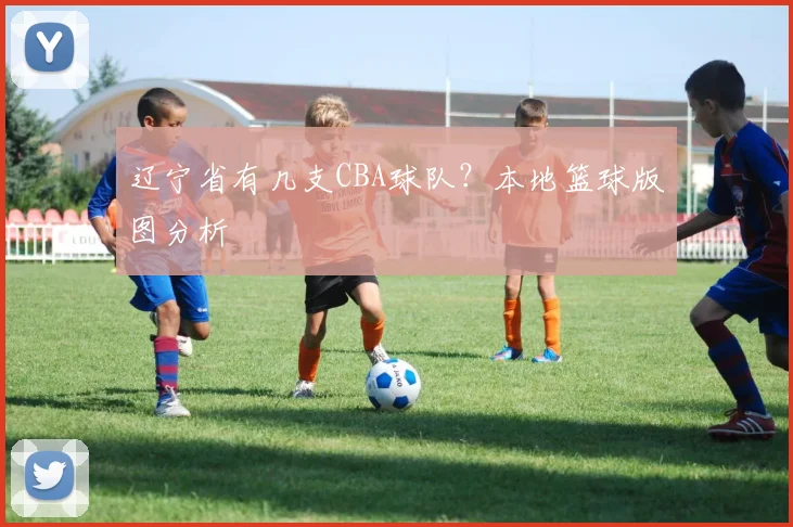辽宁省有几支CBA球队？本地篮球版图分析